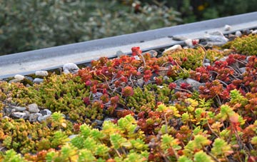 the cost of Whitsome green roof installation