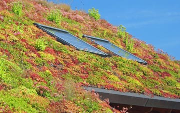 Whitsome living roof systems
