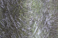 Whitsome fibreglass roof work